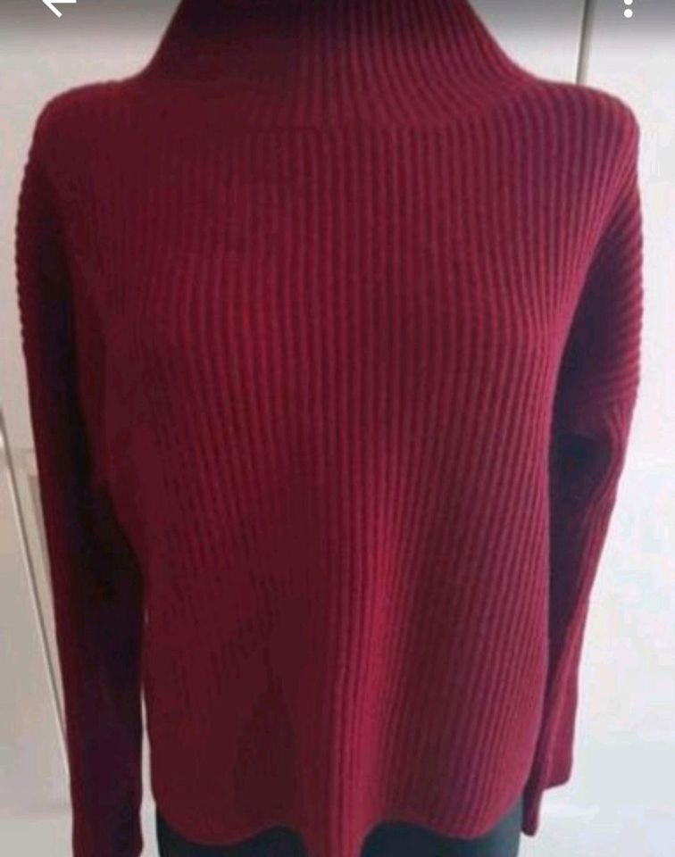 Alba moda Sweater Pulli Große L Wirgin Wool Cashmere in Paderborn