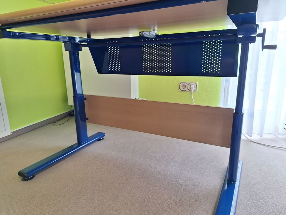 Paidi Schreibtisch für Kinder Buche Nachbildung mit blau in Oberderdingen