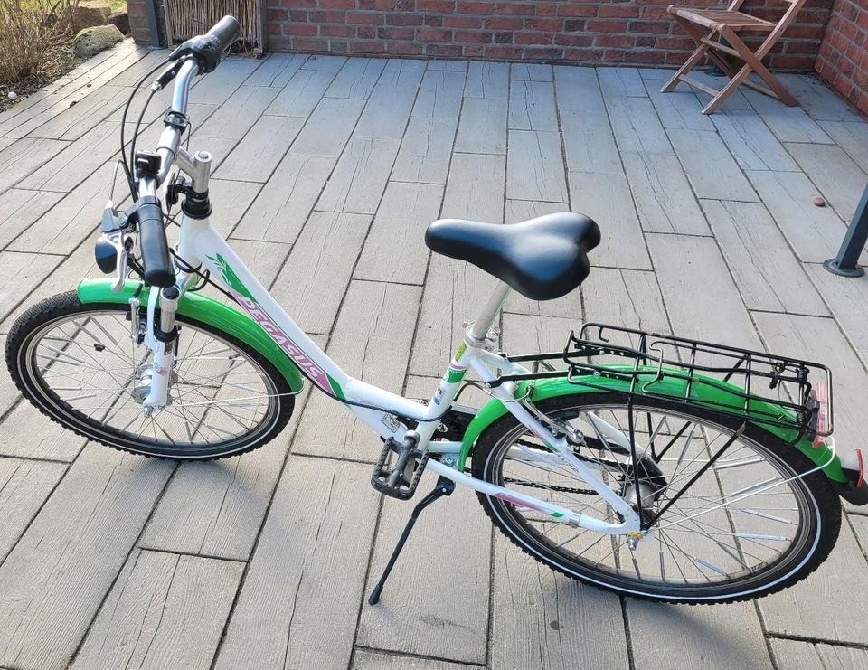 Mädchen Fahrrad 24 Zoll Pegasus in Schülp