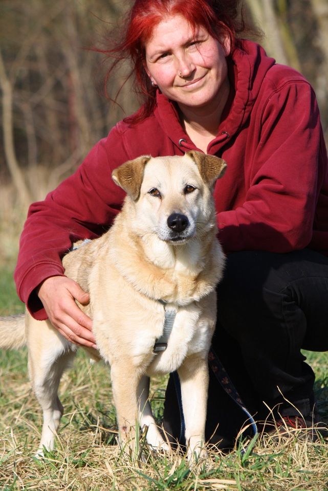 Hundeomi Ambra wünscht sich ein behütetes Zuhause in Wittstock/Dosse