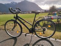 Fahrrad, Damenrad Bayern - Grassau Vorschau