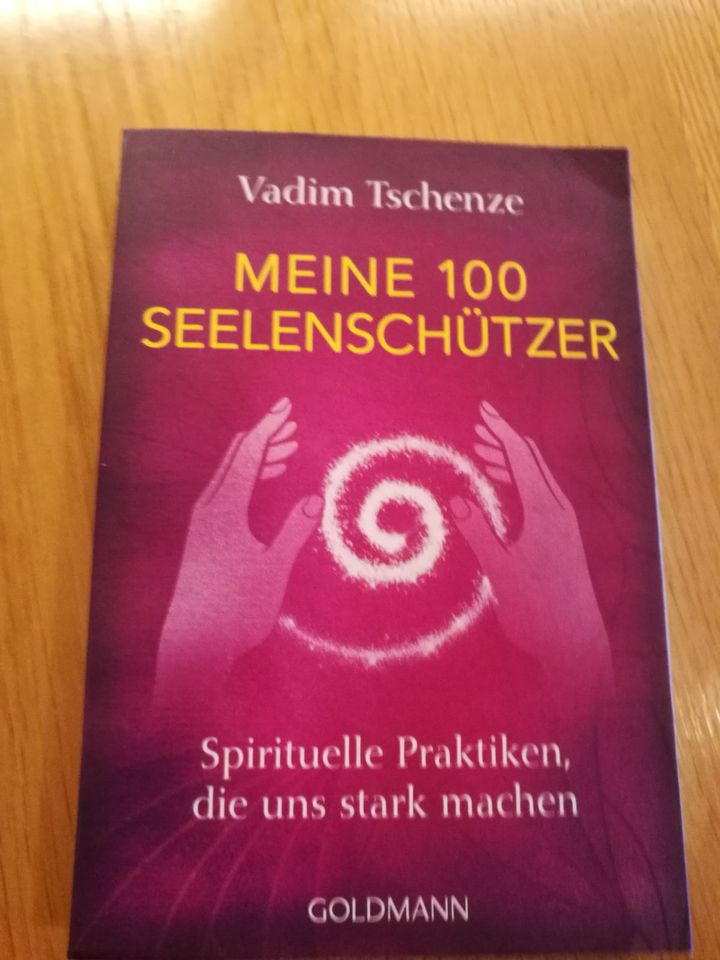 Meine 100 Seelenschützer | Vadim Tschenze | Taschenbuch | 256 S. in Pfarrkirchen
