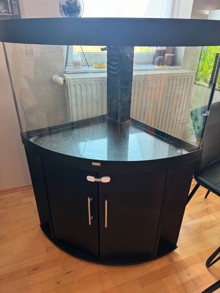 Juwel Trigon 190 Liter Aquarium in Haan