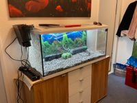 Aquarium 180 Liter ohne Fische Berlin - Charlottenburg Vorschau