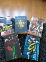 Krimi-Thriller Buchpaket Patterson, Fielding, Gerritsen Dresden - Blasewitz Vorschau