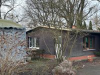 Vermiete kleines Haus VB€ mit Pferdehaltung 1100€ Brandenburg - Grünheide (Mark) Vorschau