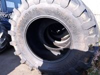 Trelleborg VF900/60 R 42 Baden-Württemberg - Bonndorf Vorschau