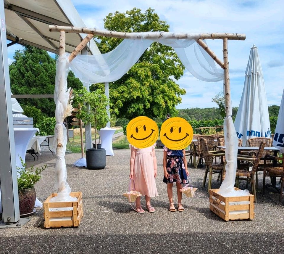 Traumbogen Birke Hochzeit Deko Vintage in Hessigheim