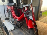 Honda Camino Mofa 25km PA 50 M Moped Schleswig-Holstein - Kropp Vorschau