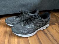 Mizuno Wave Rider 21 (Damen Gr 40.5) Kiel - Elmschenhagen-Nord Vorschau