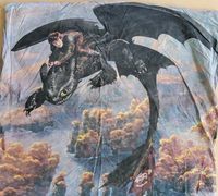 Drachen zähmen / Dragons Ohnezahn Bettwäsche, 2 Sets Wandsbek - Hamburg Volksdorf Vorschau