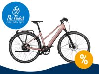 e-Bike Riese & Müller UBN Seven Urbanbike 45cm mit Federgabel (Sie sparen 1130 € ggü. UVP 5629 €) Niedersachsen - Syke Vorschau