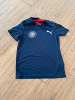 Puma Shirt Herzogtum Lauenburg - Ziethen b. Ratzeburg Vorschau