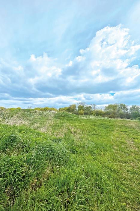 1,6 ha Grünfläche  ehemalige Deponie in Uckerland