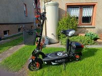 Rolektro E-Joy 45 Elektromoped mit Lithium Akku Thüringen - Buttstädt Vorschau