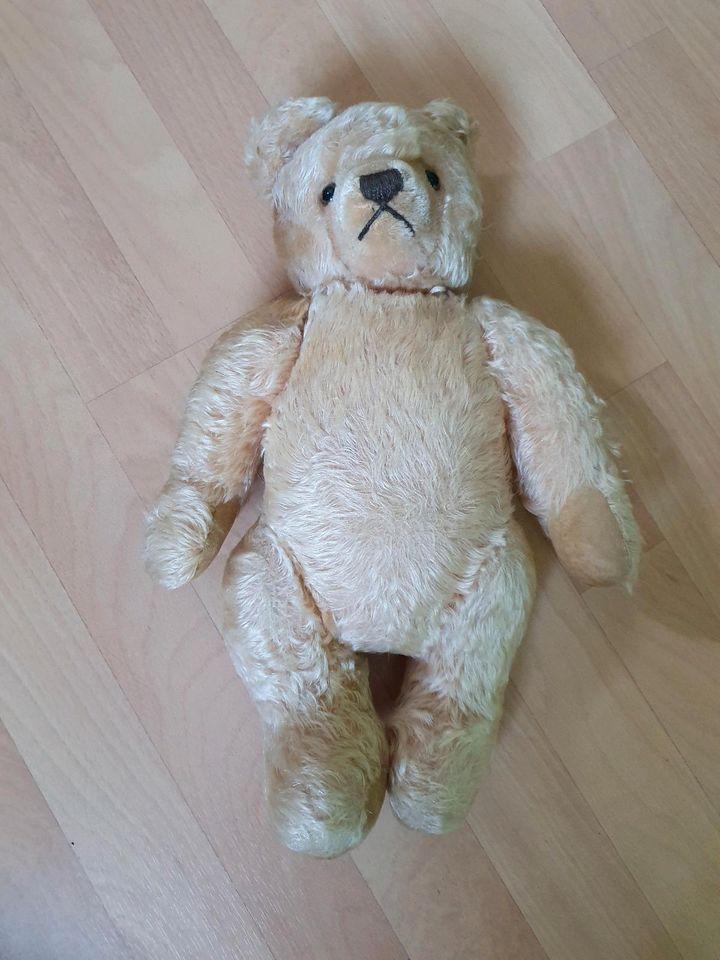 Original Steiff Teddy in Bremen