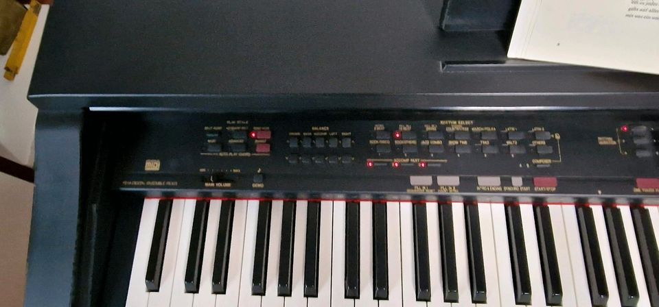 Technische Digital Piano SX-PR 303 in Lahnstein