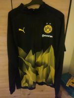 BVB trinigsjacke Bielefeld - Stieghorst Vorschau