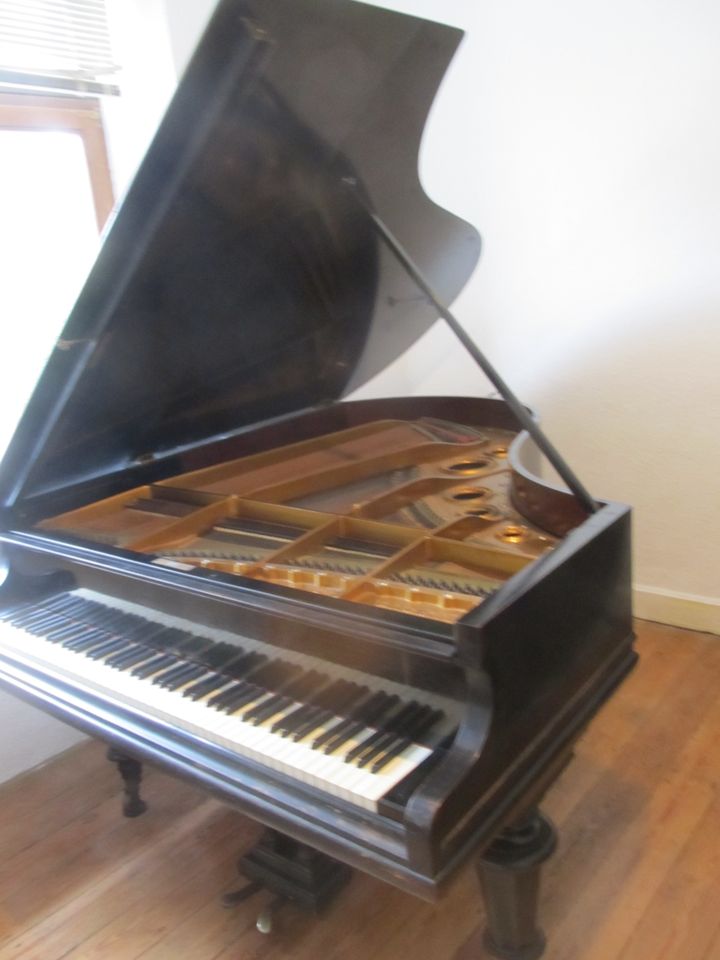 Bechstein Flügel 1921 in Kalkofen