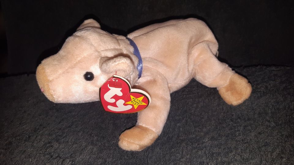 TY Beanie Baby Sammlung in Niederkrüchten