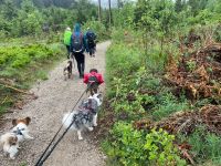 Wanderurlaub mit Hund Schleswig-Holstein - Bargfeld-Stegen Vorschau