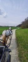 Schnupperkurs Fahren Kr. Altötting - Perach Vorschau