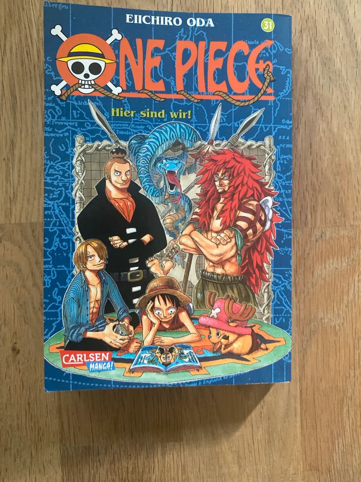 One piece band 31 in Dresden