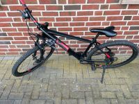 Cube Aim Mountainbike 27.5 Zoll Nordrhein-Westfalen - Metelen Vorschau