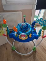 Baby einstein bouncer Berlin - Hohenschönhausen Vorschau