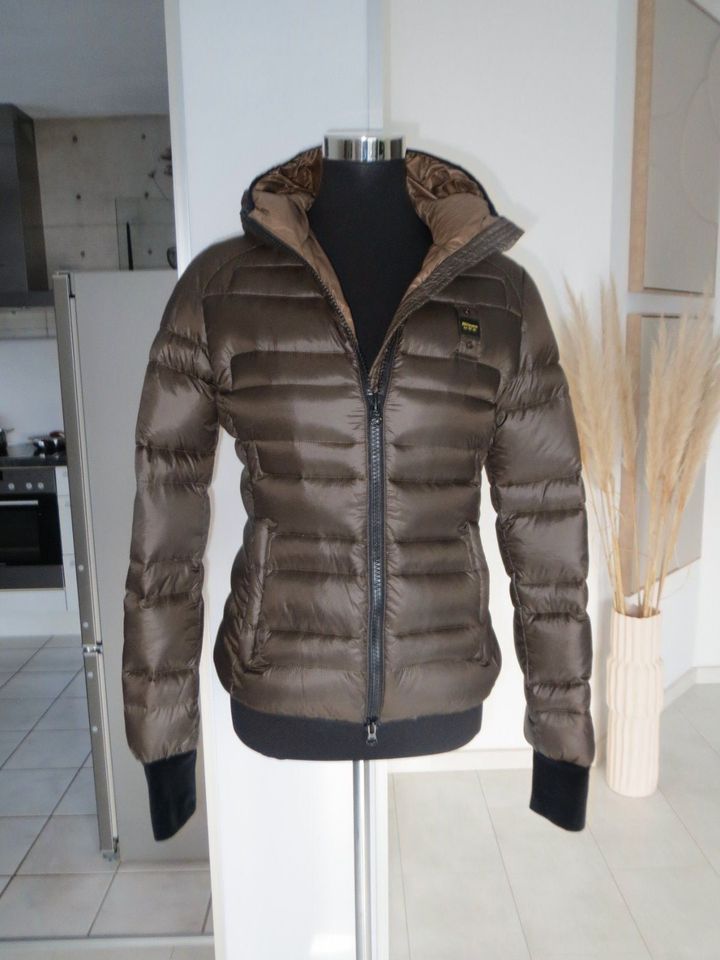 Blauer USA Jacke mit Label Patch in Oliv Khaki NP 339€ NEU! in Rodgau