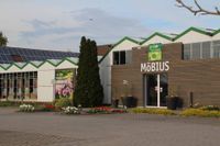 ⭐️ Blumen Möbius GmbH ➡️ Gärtner -  (m/w/x), 06886 Sachsen-Anhalt - Lutherstadt Wittenberg Vorschau