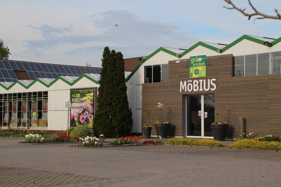 ⭐️ Blumen Möbius GmbH ➡️ Gärtner -  (m/w/x), 06886 in Lutherstadt Wittenberg