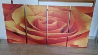 Leinwandbild Bild Leinwand 4tlg 160x80cm Rose Hessen - Schaafheim Vorschau