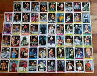 Wrestling WWF Trading Cards Merlin 1991 Bayern - Zirndorf Vorschau