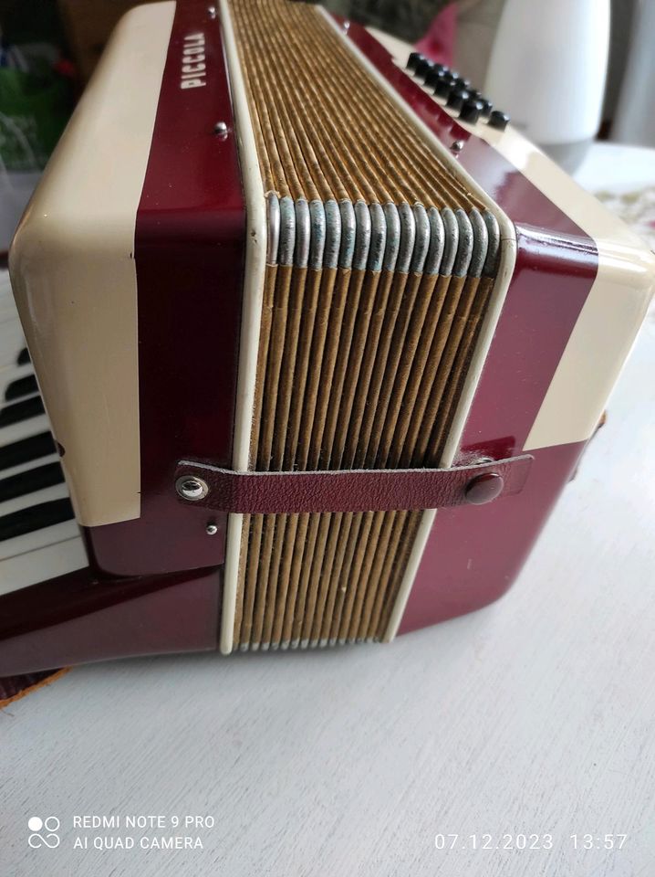 Hohner PiccolaAkkordeon in Dassow