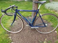 Cannondale R600 Rennrad, Campagnolo, Gr. 52 Bayern - Regensburg Vorschau