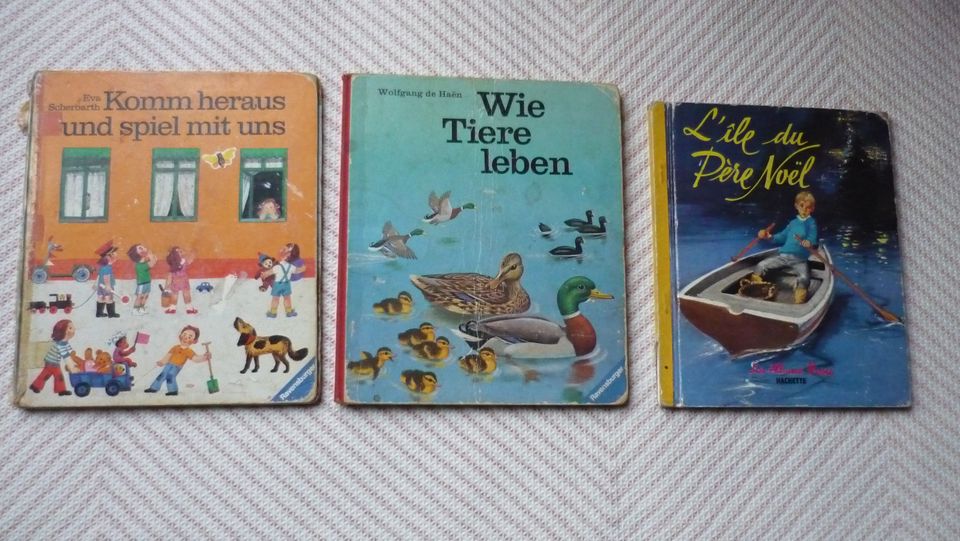 Kinderbücher pixi Bücher Benjamin wer war das in Dortmund