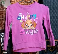 Paw Patrol Skye Pullover Brandenburg - Eisenhüttenstadt Vorschau