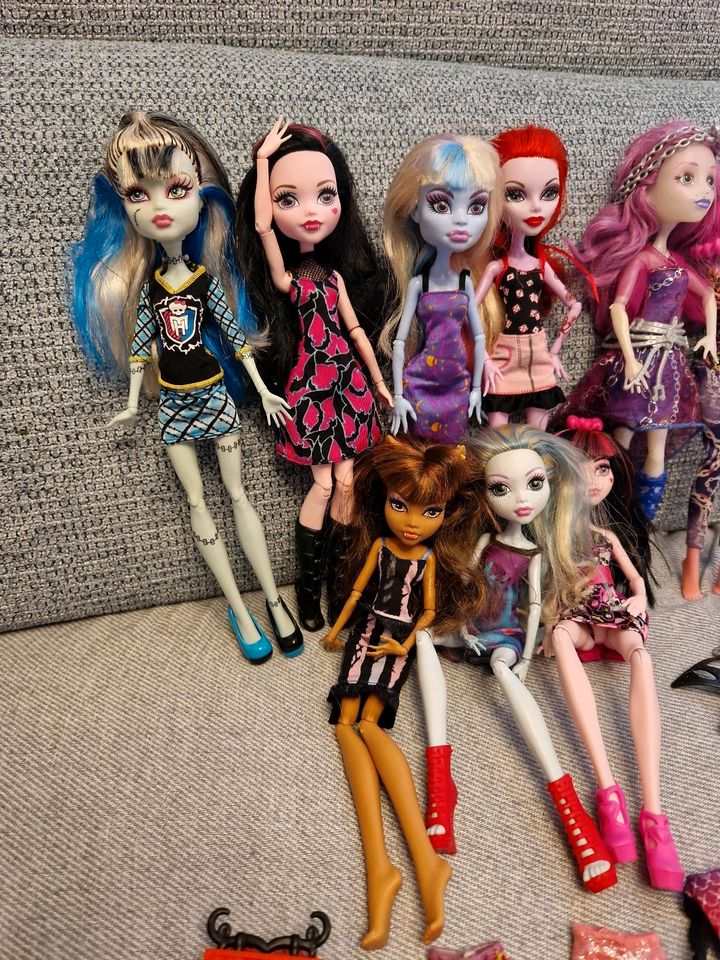 Monster High Set 9 Puppen plus Zubehör in Montforterhof