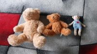 Teddybären Kuscheltiere Sachsen - Lichtenberg Vorschau