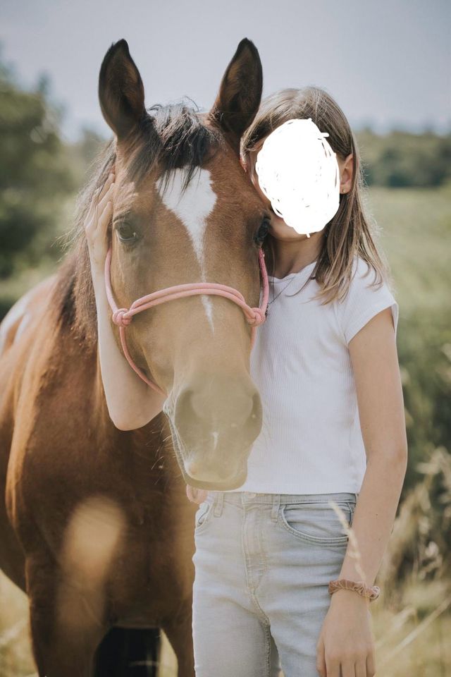 Liebe Ponystute sucht neues Zuhause in Dienheim