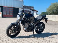 SUZUKI SV 650 Bayern - Übersee Vorschau