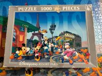 Disneyland Paris Puzzle Disney 1000 teile Baden-Württemberg - Dauchingen Vorschau