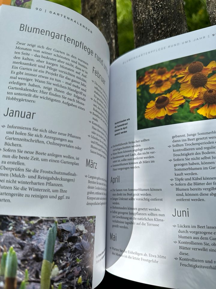 Gartenbuch BLUMENGARTEN - einfach gärtnern Schritt für Schritt in Stadtbergen