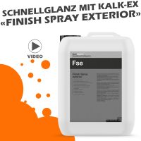 Finish Spray Exterior 10 Liter - Kalkflecken vom Lack entfernen Baden-Württemberg - Lörrach Vorschau