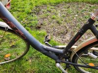 Fahrrad zu verkaufen Kiel - Melsdorf Vorschau