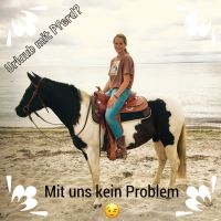 Urlaub mit Pferd Niedersachsen - Vienenburg Vorschau