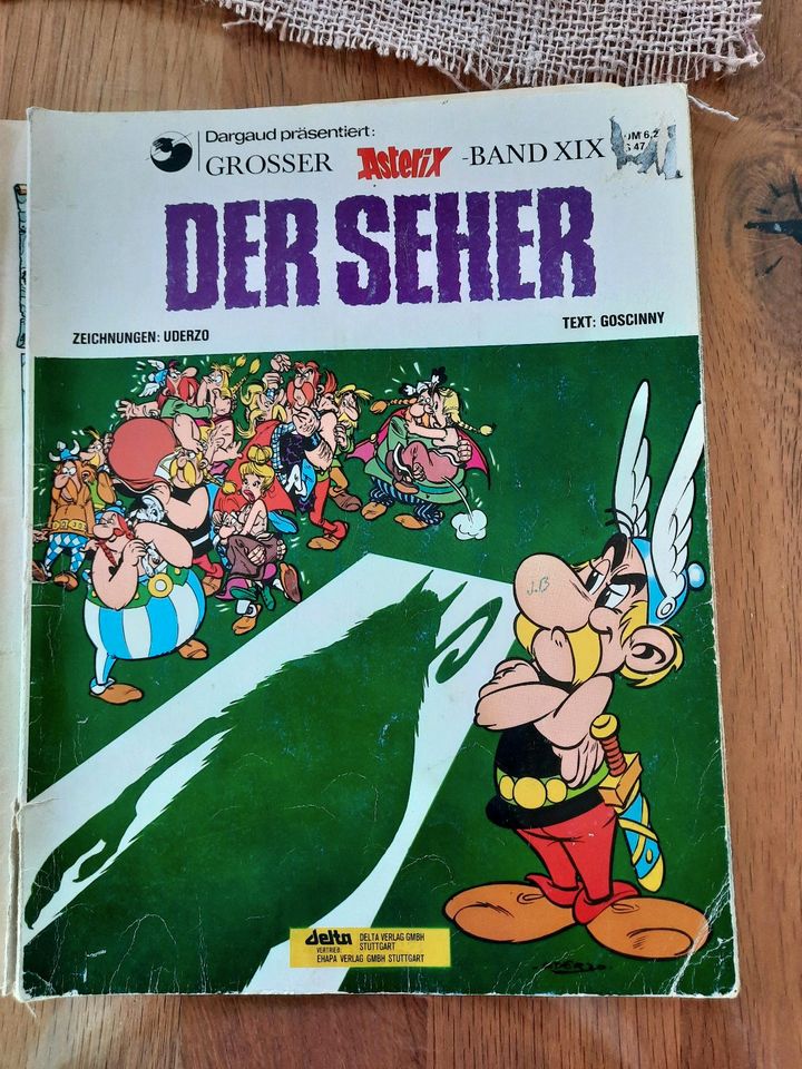 Asterix und Obelix Comic in Südlohn