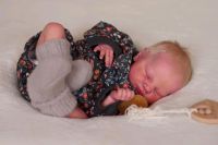 Reborn Baby Quinlynn (Puppe) Nordrhein-Westfalen - Solingen Vorschau