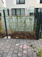 Doppelstabmatten Zaun Montage Baden-Württemberg - Mudau Vorschau